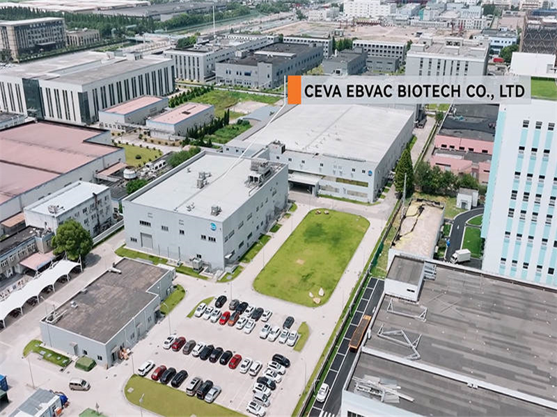حالة المشروع: Ceva Ebvac Biotech Co., Ltd.