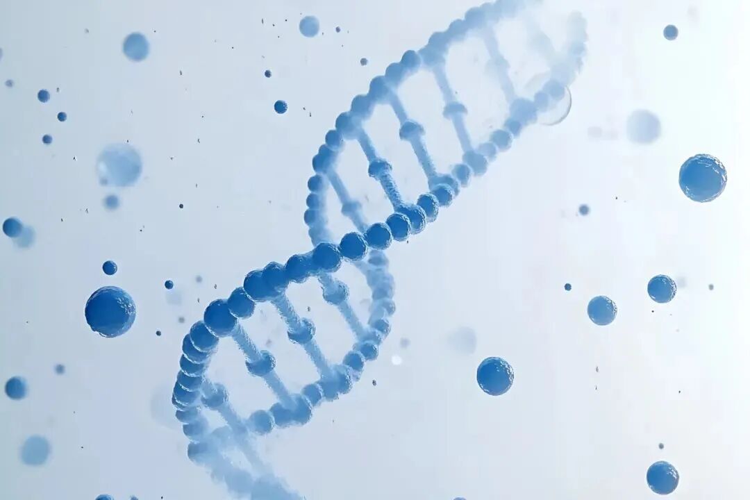 جامعة شاندونغ الطبية الأولى تشارك مع الحكمة لبناء مختبر خلية عالية الجودة